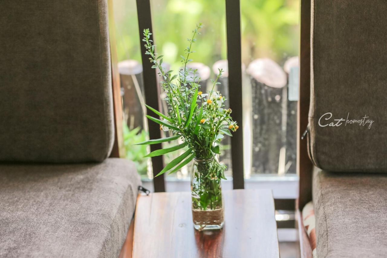 Cat Homestay Hue Eksteriør bilde