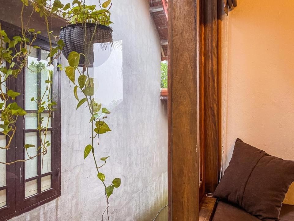 Cat Homestay Hue Eksteriør bilde